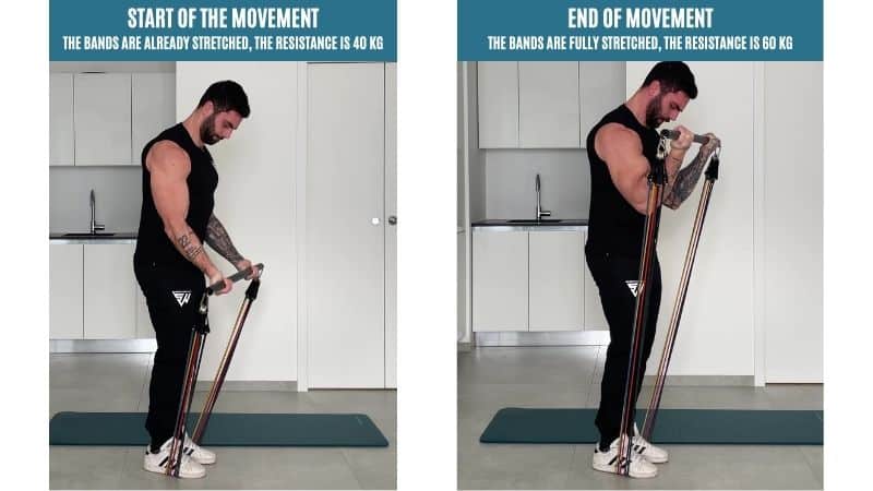 Are resistance bands effective for muscle building?