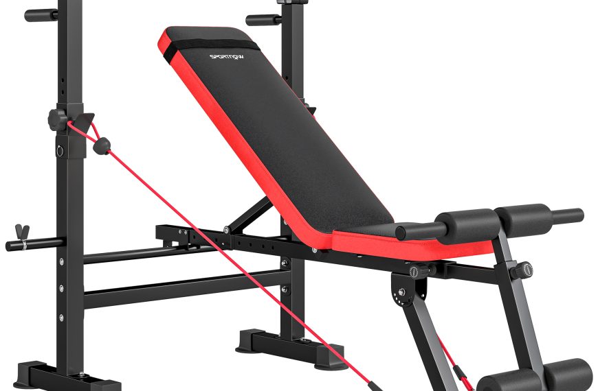 Adjustable Weight Bench with Squat Rack and Dip Stand